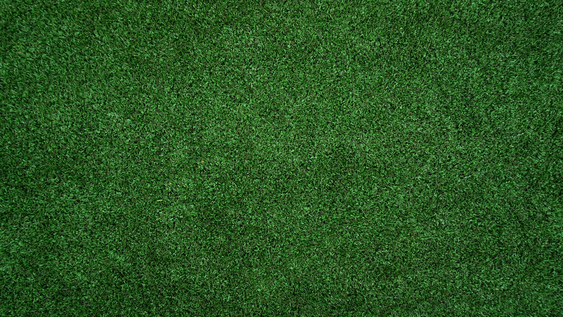 Nicely manicured green turf with deep, straight lines