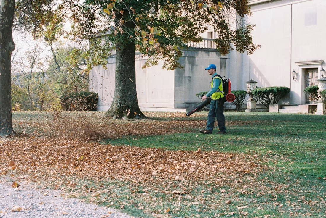 A crew clearing debris and restoring overgrown yards